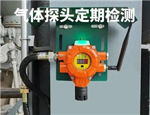 GB 12358-2024《作業(yè)場(chǎng)所環(huán)境氣體檢測(cè)報(bào)警儀器 通用技術(shù)要求》更新